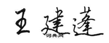 骆恒光王建蓬行书个性签名怎么写