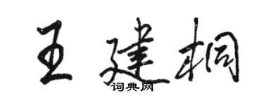 骆恒光王建桐行书个性签名怎么写