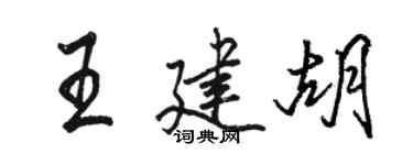 骆恒光王建胡行书个性签名怎么写