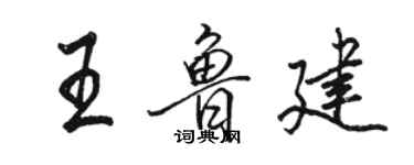骆恒光王鲁建行书个性签名怎么写