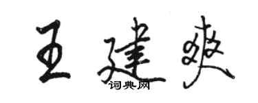 骆恒光王建爽行书个性签名怎么写