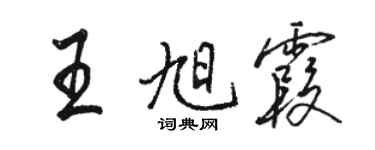 骆恒光王旭霞行书个性签名怎么写