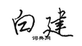 骆恒光白建行书个性签名怎么写