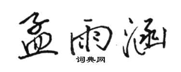 骆恒光孟雨涵行书个性签名怎么写