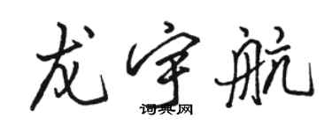 骆恒光龙宇航行书个性签名怎么写