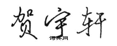 骆恒光贺宇轩行书个性签名怎么写