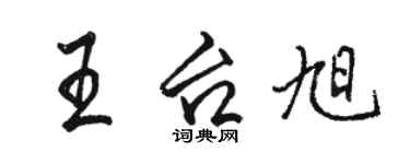 骆恒光王台旭行书个性签名怎么写
