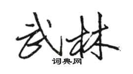 骆恒光武林行书个性签名怎么写