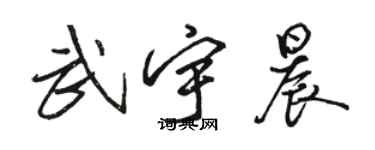 骆恒光武宇晨行书个性签名怎么写