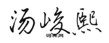 骆恒光汤峻熙行书个性签名怎么写
