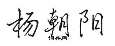 骆恒光杨朝阳行书个性签名怎么写
