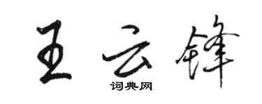 骆恒光王云锋行书个性签名怎么写