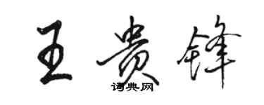 骆恒光王贵锋行书个性签名怎么写