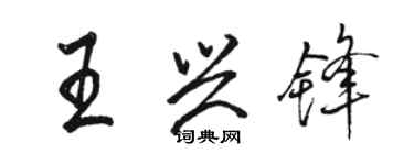 骆恒光王兴锋行书个性签名怎么写