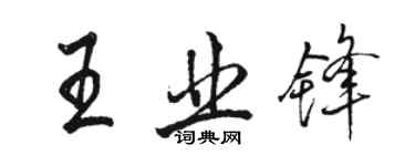 骆恒光王业锋行书个性签名怎么写