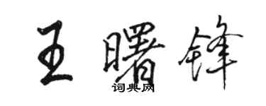 骆恒光王曙锋行书个性签名怎么写