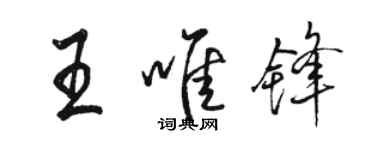 骆恒光王唯锋行书个性签名怎么写