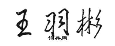 骆恒光王羽彬行书个性签名怎么写