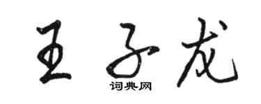 骆恒光王子龙行书个性签名怎么写