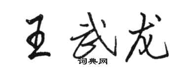 骆恒光王武龙行书个性签名怎么写