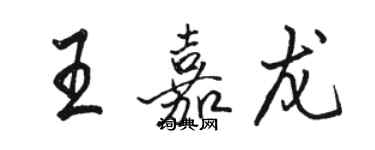骆恒光王嘉龙行书个性签名怎么写