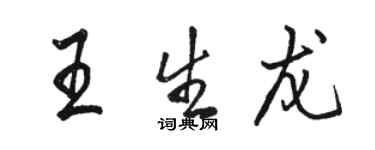骆恒光王生龙行书个性签名怎么写