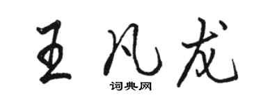 骆恒光王凡龙行书个性签名怎么写