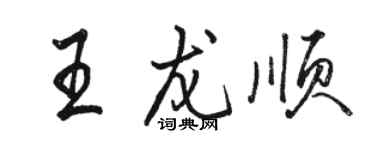 骆恒光王龙顺行书个性签名怎么写