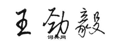 骆恒光王劲毅行书个性签名怎么写