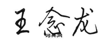 骆恒光王念龙行书个性签名怎么写