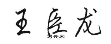 骆恒光王臣龙行书个性签名怎么写