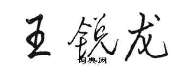 骆恒光王锐龙行书个性签名怎么写