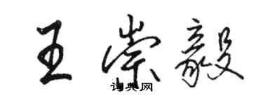 骆恒光王崇毅行书个性签名怎么写