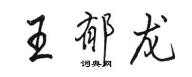 骆恒光王郁龙行书个性签名怎么写
