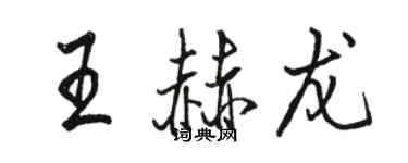骆恒光王赫龙行书个性签名怎么写