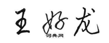 骆恒光王好龙行书个性签名怎么写