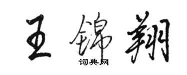 骆恒光王锦翔行书个性签名怎么写