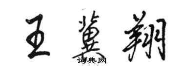 骆恒光王冀翔行书个性签名怎么写