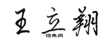 骆恒光王立翔行书个性签名怎么写