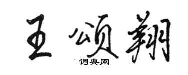 骆恒光王颂翔行书个性签名怎么写