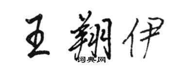 骆恒光王翔伊行书个性签名怎么写