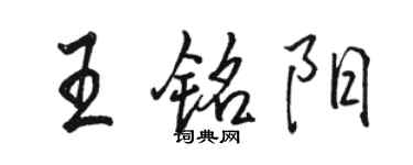 骆恒光王铭阳行书个性签名怎么写