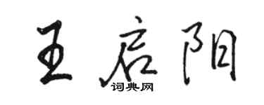 骆恒光王启阳行书个性签名怎么写
