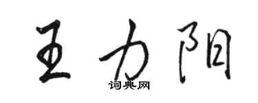骆恒光王力阳行书个性签名怎么写