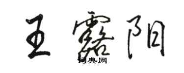 骆恒光王露阳行书个性签名怎么写