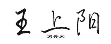 骆恒光王上阳行书个性签名怎么写