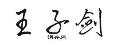 骆恒光王子剑行书个性签名怎么写
