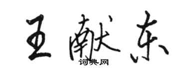 骆恒光王献东行书个性签名怎么写