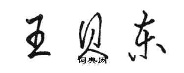 骆恒光王贝东行书个性签名怎么写