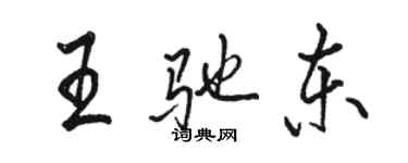骆恒光王驰东行书个性签名怎么写